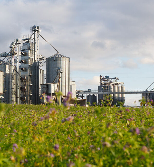 Ingeniería de la automatización de la planta de producción de tintes o pigmentos a base de camote